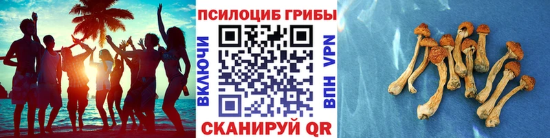 Галлюциногенные грибы прущие грибы  купить  сайты  Лосино-Петровский 